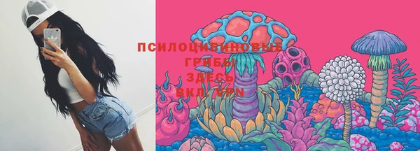 крисы Арсеньев
