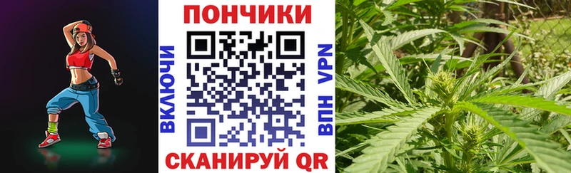KRAKEN как войти  Аркадак  Бошки Шишки ГИДРОПОН  как найти  